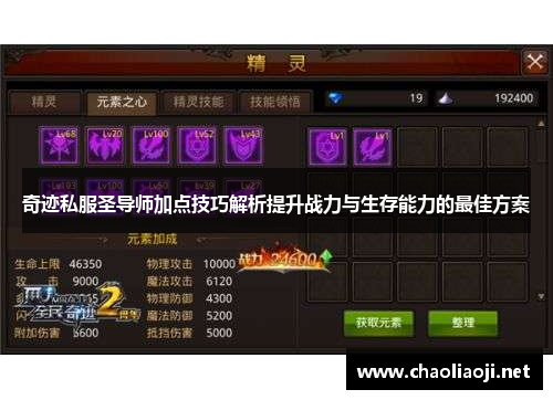 奇迹私服圣导师加点技巧解析提升战力与生存能力的最佳方案