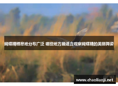 蝴蝶精栖息地分布广泛 哪些地方最适合观察蝴蝶精的美丽舞姿