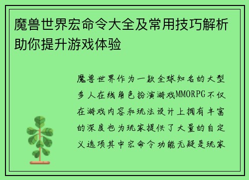 魔兽世界宏命令大全及常用技巧解析助你提升游戏体验